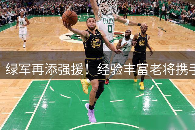 绿军再添强援！经验丰富老将携手塔图姆冲击总冠军